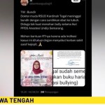 Dokter Muda Aulia Risma Lestari-1723779452