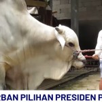 Prabowo Subianto-1747297064
