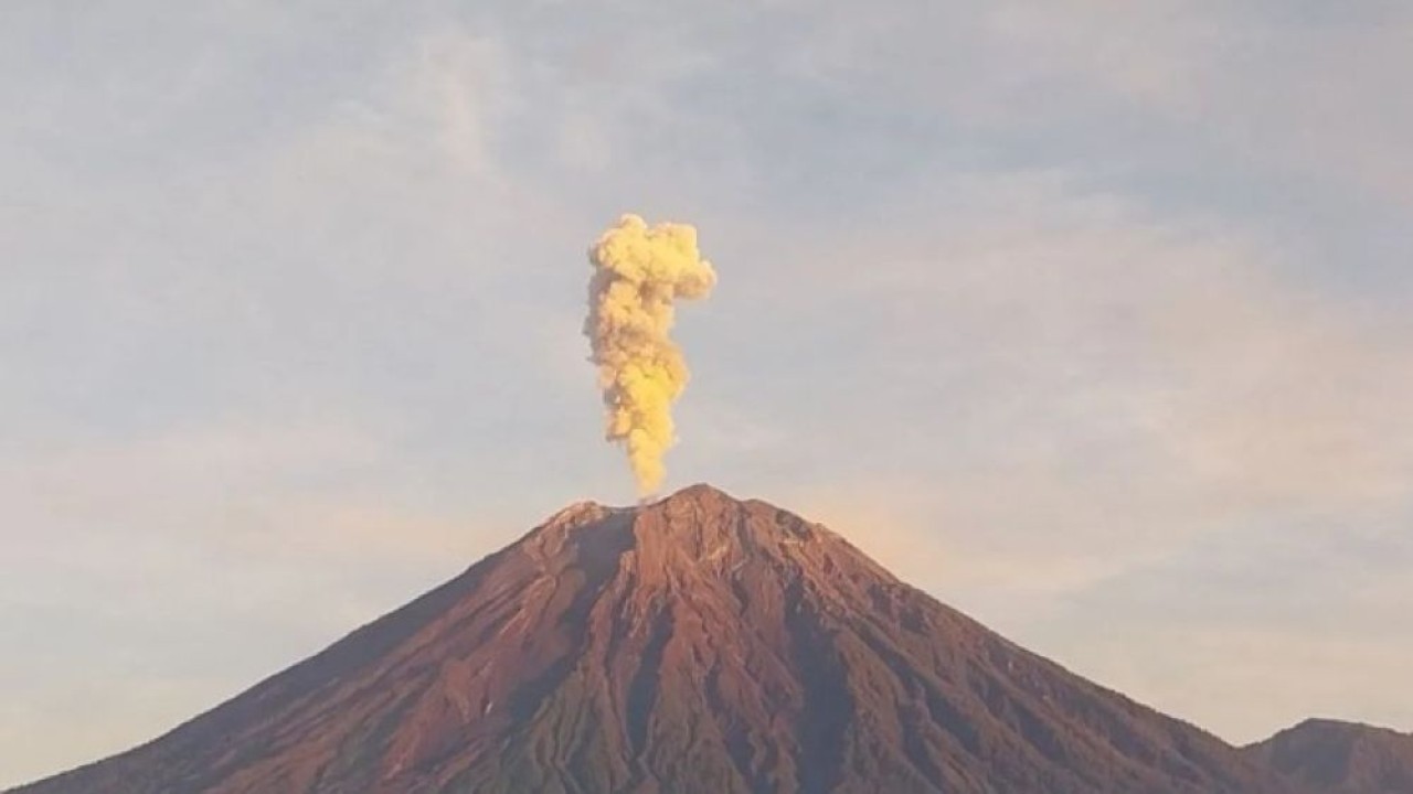 Gunung Semeru erupsi dengan letusan setinggi 1 km di atas puncak pada Selasa (10/6/2025) pagi. (Foto:ANTARA/HO-PVMBG)