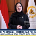 puan-1756521906