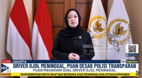 puan-1756521906