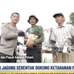 pangan-1758004622