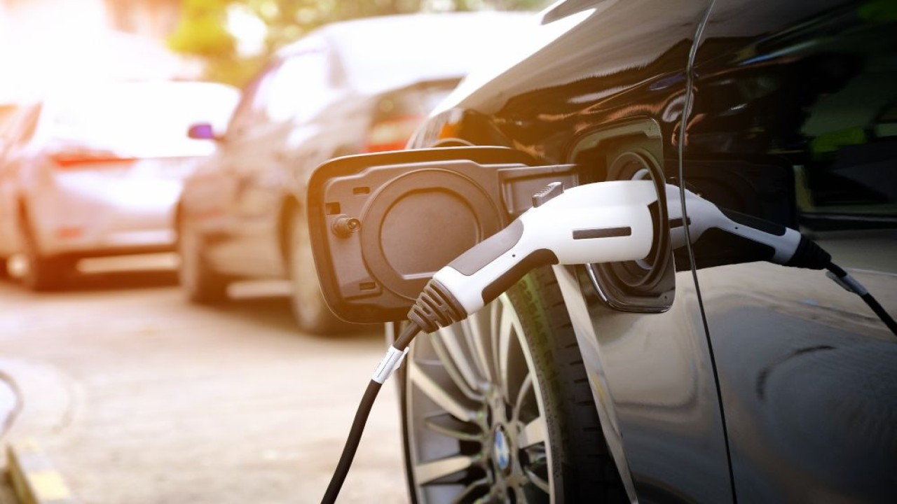 Segmen BEV mencatat pertumbuhan paling impresif sepanjang periode 2021-2025. (Foto: Istimewa via Dragonfly Energy)