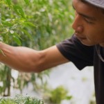 Petani Sayur-1776743999