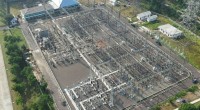pln-1783335604