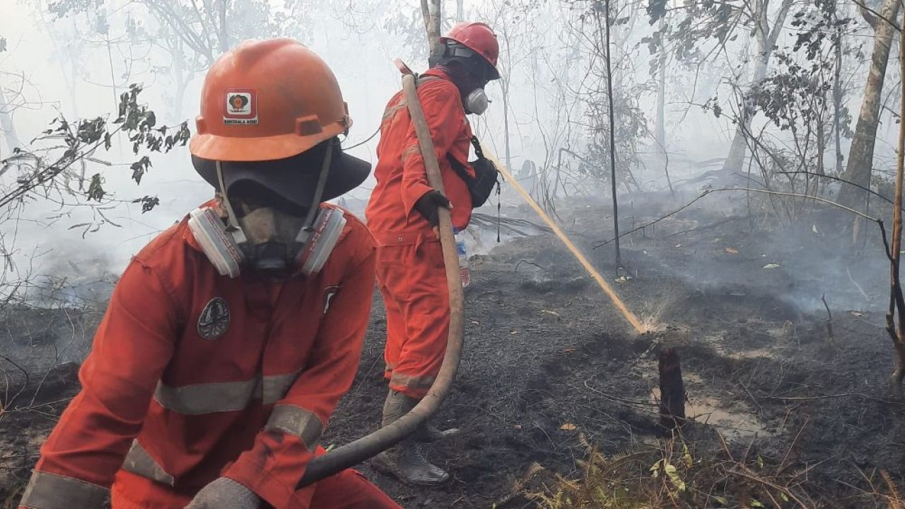 Pemerintah terus mengoptimalkan penanganan kebakaran hutan dan lahan (karhutla) di wilayah Kalimantan. (Foto: Dok/Istimewa/Kementerian Kehutanan)