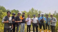 pln-1789201154